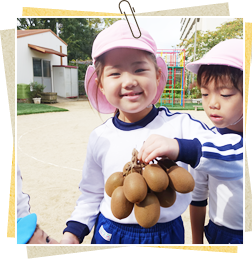 写真:キウイがたくさんとれました。